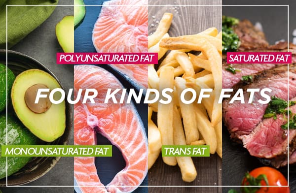 Four Kinds of Fats