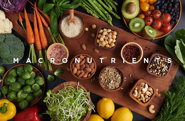 Macronutrients