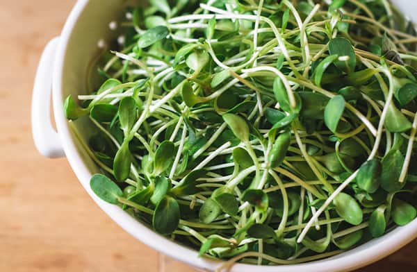 Bowl of Sprouts