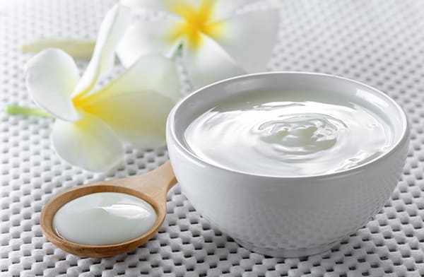 Bowl of Yogurt