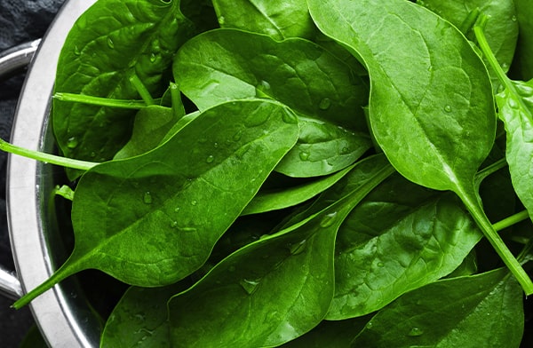 Bowl of Spinach