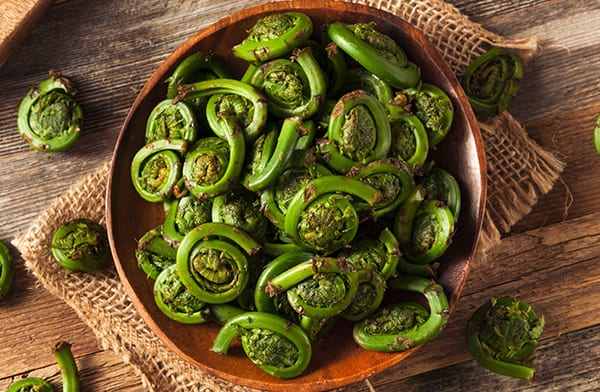 Bowl of Fiddlehead Greens