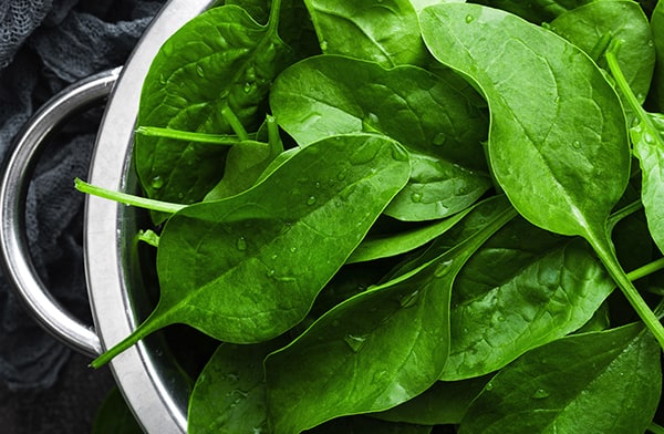 Bowl of Spinach