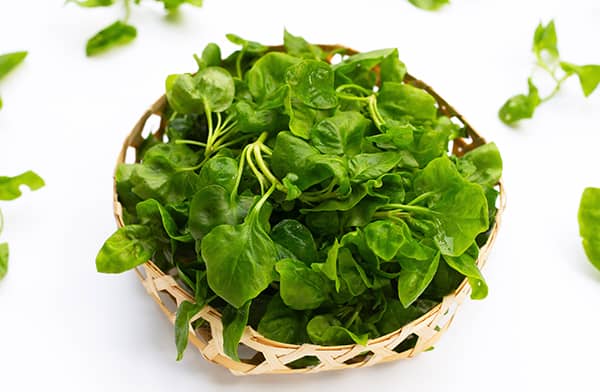 Bowl of Watercress