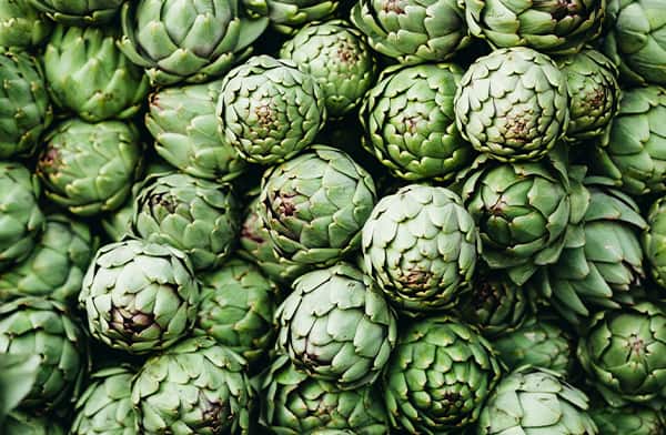 Bundle of Artichokes