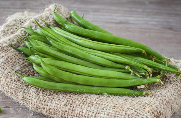 Bundle of Green Beans