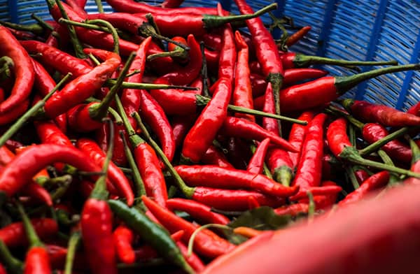 Hot Peppers