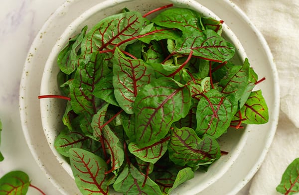 Swiss Chard