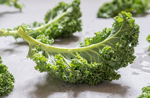 Leaf of Kale