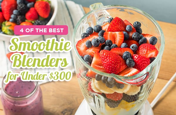4 of The Best Smoothie Blenders for Under $300