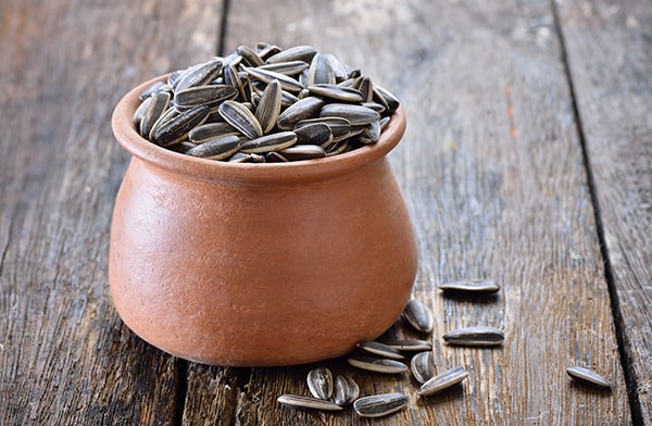 Bowl of Sunflower Seeds