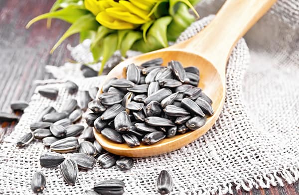 Sunflower Seeds