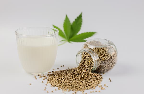 Hemp Milk